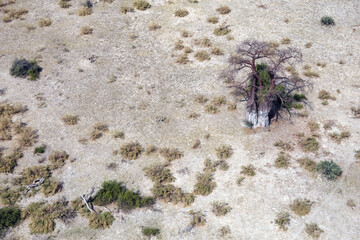Okavango Delta in Maun, Botswana