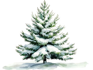 Obraz premium Snow-Covered Evergreen Tree in Winter Landscape