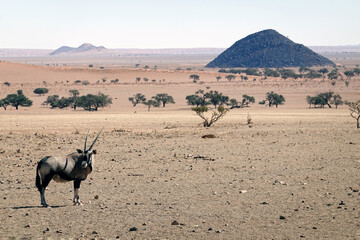 NamibRand Nature Reserve in Namibia    