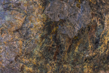 Colourful Rock With Lichens