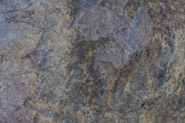 Colourful Rock With Lichens