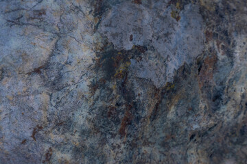 Colourful Rock With Lichens