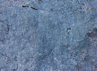 Map Lichens In Northern Ontario