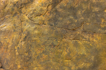 Canadian Shield Rock In Parry Sound