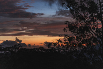 Serene Sunset Through the Silhouette of Trees