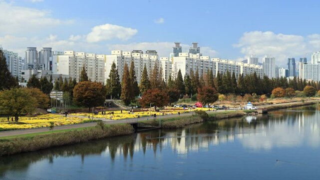 Taehwa Riverbank and Chrysanthemum Gardens in Autumn