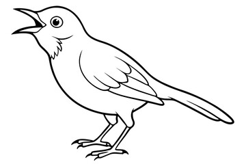 cute babbler bird white background vector art illustration