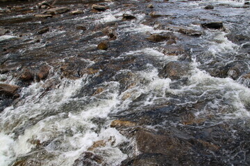 Fast Stream, Nordegg, Alberta