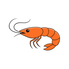 Domestic shrimp vector illustration