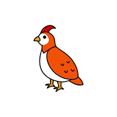 Japanese quail vector illustration