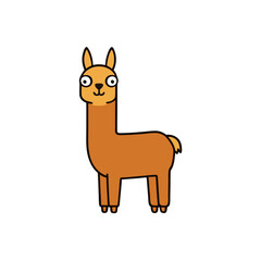 Llama vector illustration