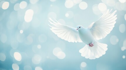 Fototapeta premium White Dove in Flight Against a Blue and White Bokeh Background