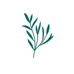 decorative leaf branch