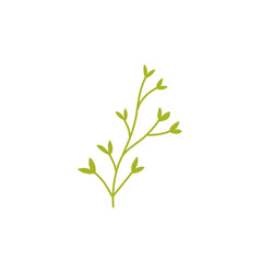 decorative leaf branch
