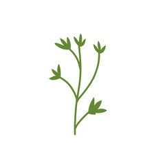 decorative leaf branch