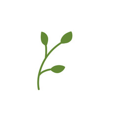 decorative leaf branch