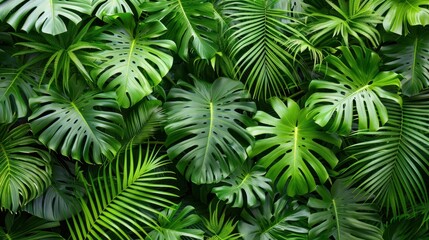 Tropical Plants: Banana leaves and coconut palms are central to the tropical aesthetic, offering bold foliage and vibrant green tones for a lush environment.
