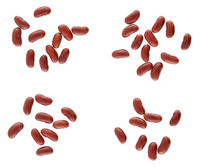collection top view red beans fly isolated on a white background. raw vegetable seed, healthy food. concept of  plant nature, legume