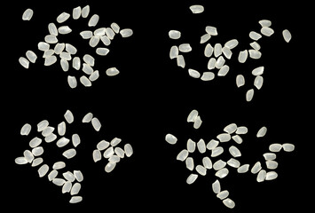 The top view is a rice splash fly isolated on a black background. raw grain texture, pile seed white. food healthy