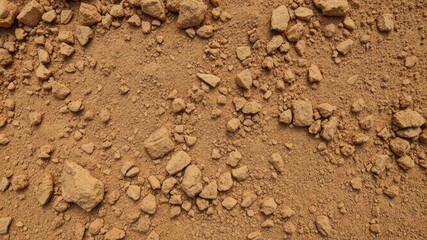 Close-up of rough and gritty dirt texture with natural earth tones, gritty