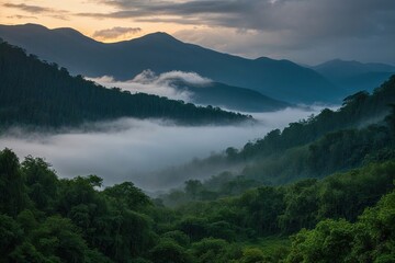 Fototapeta premium Dawn in a Rainy Forest with Lush Greenery and Misty Mountains