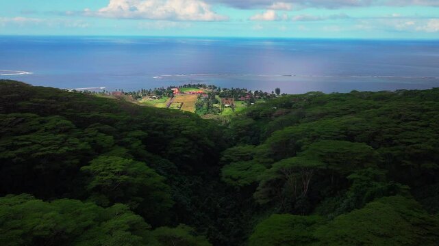 Big island Tautira Tiarei Papenoo farmland village Teahupoo Tahiti Society Islands tropical forests French Polynesia aerial drone South Pacific Ocean coastline banyan ceiba palm trees forward pan up