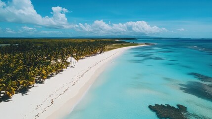 Aerial view of a serene tropical beach with palm trees and clear blue waters.