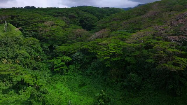 Tahiti island French Polynesia aerial drone tropical dense lush jungle flora forest Mahina Papeno'o mountainside canyon ravine valley Teahupoo Papeete Moorea Mont Orohena greenery sunny cloudy upwards