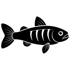 illustration of a fish