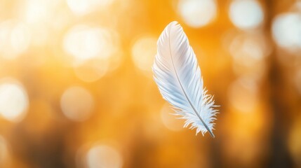 Naklejka premium Delicate White Feather Suspended in Air with Soft Focus Background of Golden Autumn Light Creating an Ethereal and Dreamy Atmosphere