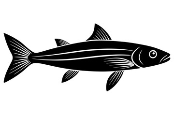 fish on a white background