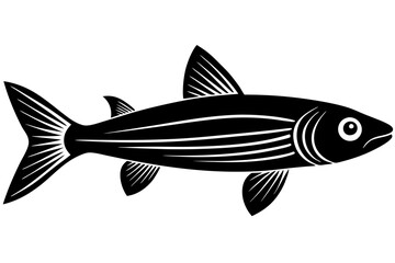 fish isolated on white