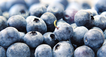 Ripe blueberries with fresh green leaves closed up isolated on white