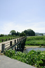 夏の田舎の田園風景