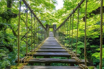 Obraz premium Rustic Wooden Suspension Bridge in Lush Green Forest