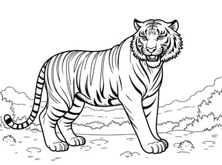 tiger illustration for drawing
