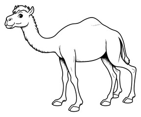 Fototapeta premium camel cartoon illustration