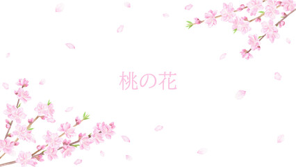 水彩で描いた桃の花の背景
