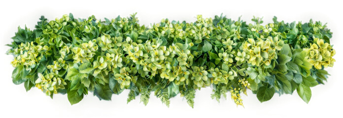 Vertical garden wall made up various types plants Green from