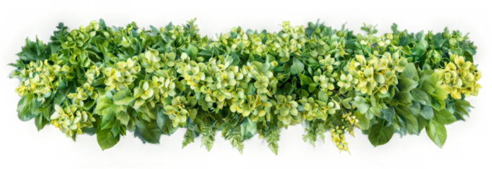 Vertical garden wall made up various types plants Green from