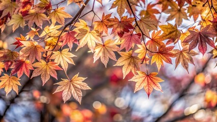 Vibrant Autumn Leaves Against a Bright Background, copy space