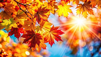 Obraz premium Vibrant Autumn Leaves Against a Bright Background, copy space