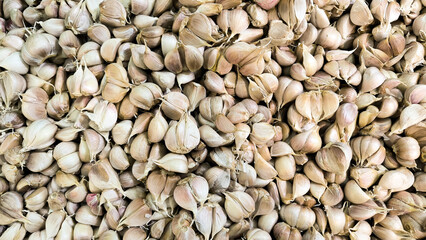 Close-up of Fresh Garlic in Traditional Marketplace