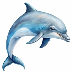 Fototapeta premium a dolphin on white background
