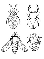 Black and white doodle illustration of a detailed beetle with ornament. Line art drawing isolated on white background. Coloring book page.