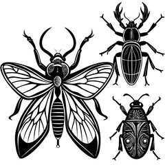 set of insects collections illustrations vector art isolated white background