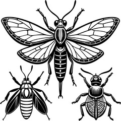 set of insects collections illustrations vector art isolated white background