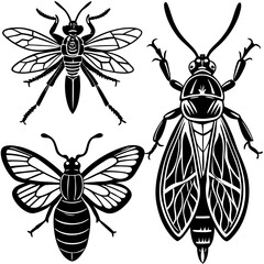 set of insects collections illustrations vector art isolated white background