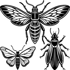 set of insects collections illustrations vector art isolated white background