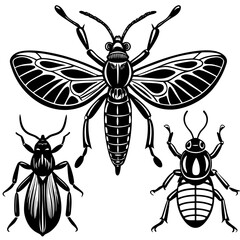 set of insects collections illustrations vector art isolated white background